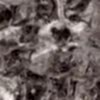 Orlando Duvar Kağıdı 1509-06 - Kahverengi Duvar Kağıtları - Web Sitemiz Üzerinden En Uygun Fiyat Garantisi İle Online Satın Alabilirsiniz.