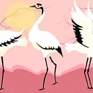 Japon Turnası Pembe Duvar Kağıdı H0038