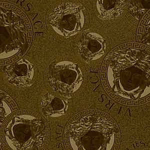 Versace 5 Duvar Kağıdı 38461-1 As Creation Alman Duvar Kağıdı Dekoros'da. İthal Duvar Kağıtları Modelleri ve Fiyatları, Şimdi İncele!