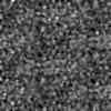 Rim ithal Duvar Kağıtları 540701